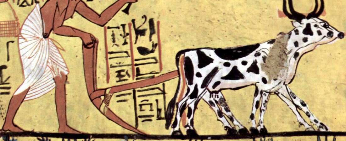 Cómo era la vida cotidiana de un egipcio común hace 4000 años